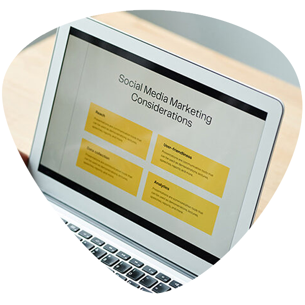 Customer Experience & Loyalty Program
